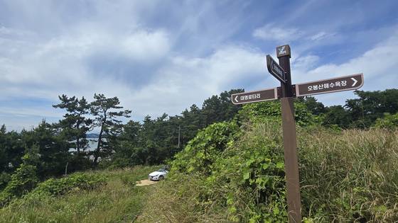 충남 보령시 원산도의 산 능성에 '대명로타리' 방향을 가르키는 이정표가 설치돼 있다. 대명은 2023년 9월 원산도에 대규모 리조트를 짓겠다고 발표했지만 2년이 지나도록 첫 삽도 뜨지 못하고 있다. 신진호 기자
