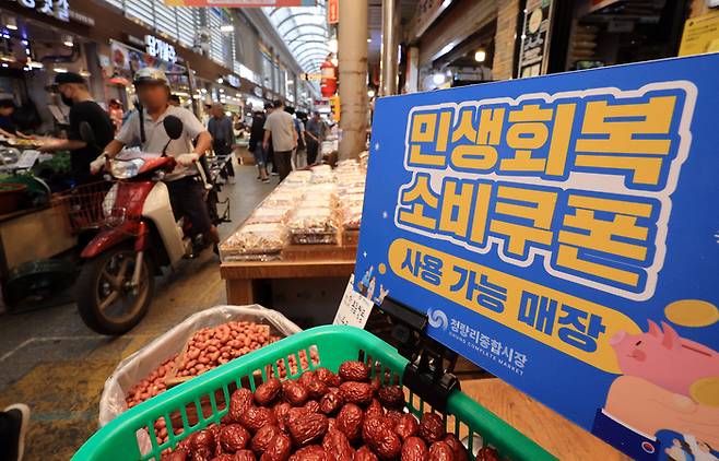 2차 소비쿠폰 지급…22일부터 10만원 [사진 뉴스1]