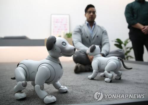 깜찍한 소니의 로봇 강아지 '아이보'     (라스베이거스=연합뉴스) 임헌정 기자 = 세계 최대 가전·IT 박람회인 'CES(Consumer Electronics Show) 2018'이 개막한 9일 오후(현지시간) 미국 라스베이거스 컨벤션센터(LVCC) 소니 전시장에서 로봇 강아지 '아이보'가 시연되고 있다. 2018.1.10
    kane@yna.co.kr