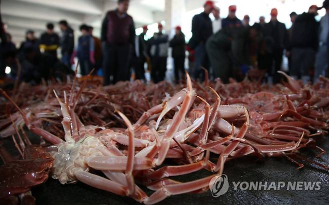 대게 [연합뉴스 자료사진]