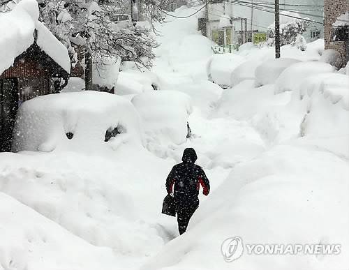 2014년 2월 강릉 폭설 [연합뉴스 자료사진]