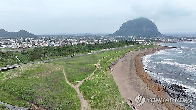 사계리 해안사구  [촬영 박지호]