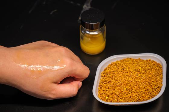 조남준 난양공대(NTU) 교수팀이 개발한 꽃가루 선크림을 손에 바른 모습(왼쪽)과 원료로 활용된 동백꽃 꽃가루(오른쪽). 사진 NTU