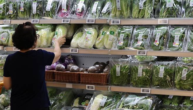 서울 한 대형마트 농산물 판매대 모습. 연합뉴스