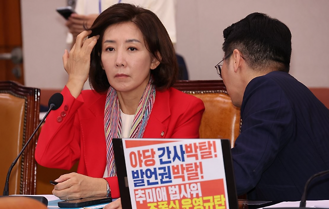 국민의힘 나경원 의원 / 사진=연합뉴스