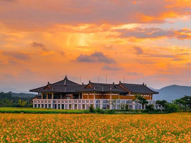 경주 분황사의 드넓은 꽃밭. /사진=한국관광공사