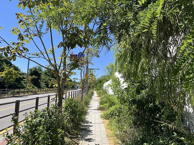 위례 업무용지 사이에 위치한 도로변의 모습. 오랜기간 방치 돼 인도에 풀이 무성하게 자랐다. 윤성현 기자