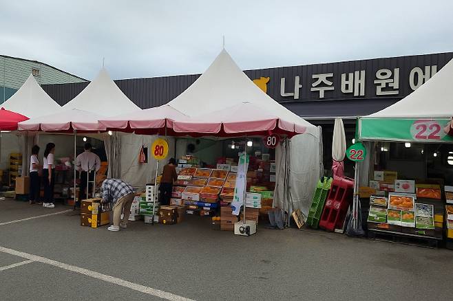 추석을 보름여 앞둔 15일 나주 삼도동 나주배원예농협농산물공판장에서 시민들이 나주배를 구매하고 있다. /박준호 기자 bjh@namdonews.com