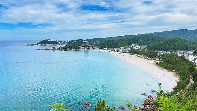 강원도 삼척시.