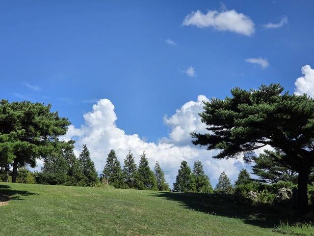 신라 화랑들의 훈련장소인 경주 단석산자락 화랑의 언덕.