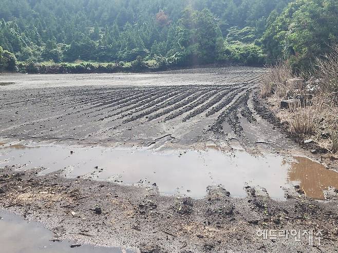 기습적 폭우로 인해 침수 등의 피해가 발생한 농경지. (사진=제주특별자치도)