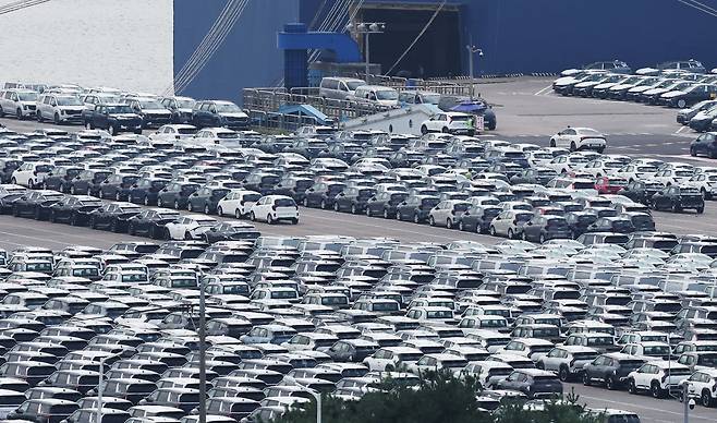 경기도 평택항에 수출용 자동차가 세워져 있다. 사진=연합뉴스