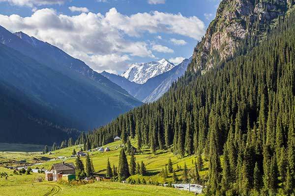알틴 아라샨Altyn Arashan국립공원 키르기스스탄을 '중앙아시아의 스위스'라고 부르는 것은 바로 이 국립공원 때문이다. 아름다운 고산 초원에 하늘을 찌르는 가문비나무 숲, 맑은 계곡물, 부드러운 트레일, 뜨거운 온천이 유명한 힐링 플레이스다. 사진 카트만두앤비연드.