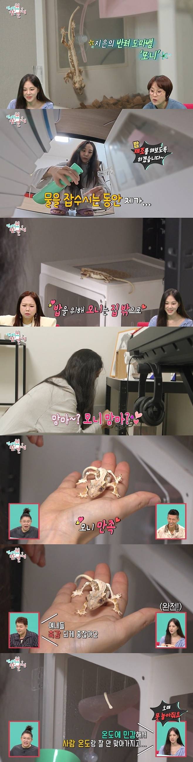 /사진=MBC '전지적 참견 시점' 방송 캡처