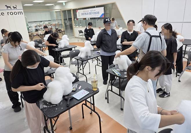 경복대 반려동물보건과 미용 수업에서 동물 모형을 활용하는 모습(이혜원 교수 제공) ⓒ 뉴스1