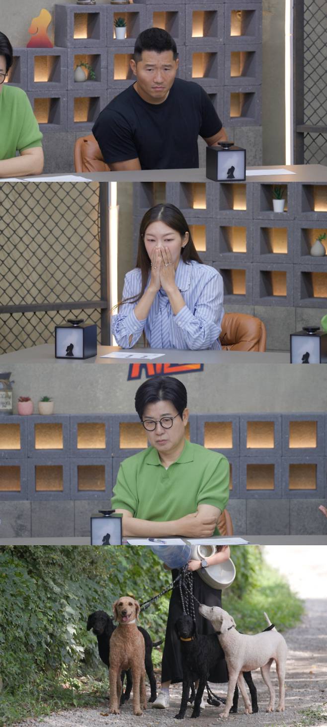 ‘개와 늑대의 시간’ 푸들 살견 사고 (제공: 채널A)