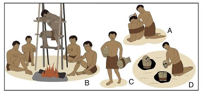 연구진은 선사시대의 연기 건조 미라화 과정에서 대한 하나의 시나리오를 단계별로 보여준다. 그림 에이(A)는 훈증 의식 준비 단계로 사람들은 시신을 다양한 방식으로 묶어 극도로 접힌 자세를 만들었을 것으로 본다. 그림 비(B)는 처리 과정을 보여주는 단계로 시신은 \'에이\'처럼 묶인 상태이거나 \'비\' 그림에서처럼 풀린 상태로 저온 화염 위에 놓여 있다. 그림 시(C)는 훈증 후 처리 과정으로 훈증이 완료되면 미라는 특별히 지어진 오두막이나 동굴 등으로 옮겨지는데, 그 과정에서 머리와 몸이 분리되기도 한다. 마지막으로 그림 디(D)는 최종 매장 단계로 대부분 매장 시 온전한 상태지만, 일부에서는 부패가 진행돼 유골이 무덤 안에서 재배치돼 의도적으로 절단·분리된 상태로 매장되기도 한다. 연구 논문 제공