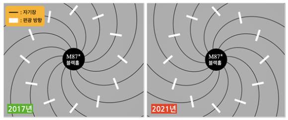 가운데 검은색 원은 M87 블랙홀, 흰색 막대는 관측된 빛의 고리의 편광 방향, 검은색 실선은 자기장의 방향을 나타낸다. [사진=EHT Collaboration]