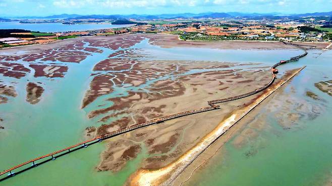 세계자연유산인 무안갯벌 위에 국내 최장 1.5㎞ 길이로 조성된 탐방다리가 이어져 있다. 무안생태갯벌사업소 제공