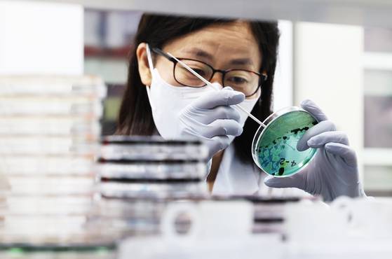 A researcher from the waterborne disease team at the Gyeonggi Provincial Health and Environment Research Institute test for Vibrio vulnificus bacterium in seawater collected from the sea in the province in Suwon, Gyeonggi on May 22, 2024. [YONHAP]