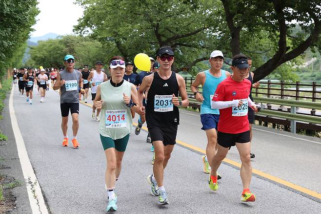 울진금강송배 전국 마라톤대회 [울진군 제공]