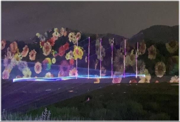 3D 입체영상 연출 구상안.