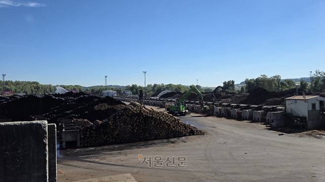 오스트리아 입스 안 데르 도나우에 위치한 스트라엔소 제재소. 목재 품질 유지를 위해 원목에 물을 뿌리고 컨베이어 벨트에서 크기에 따라 목재를 선별한다.