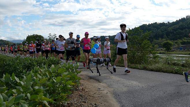 마라톤 뛰는 사족보행 로봇 '라이보2' [KAIST 제공. 재판매 및 DB 금지]