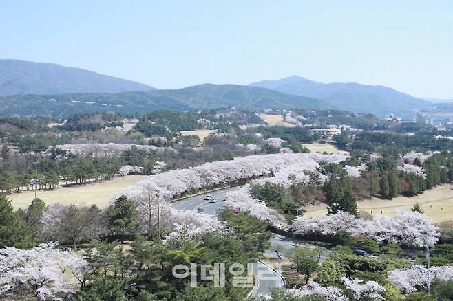 2025 APEC이 개최되는 경주 보문단지 (사진=경주시청)