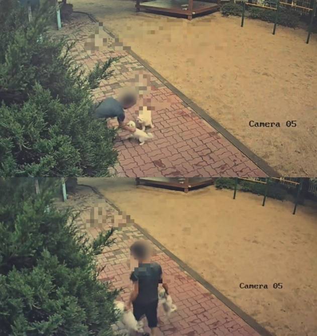 (보배드림 갈무리)