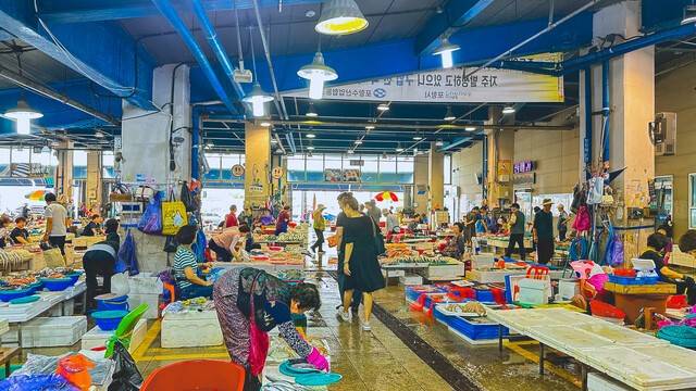 ▲ 포항 죽도시장