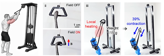 로봇 팔 시스템을 통한 자기 인공근육의 동작 시연.[UNIST 제공]
