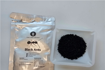 태국에서 수입한 개미. [식약처 제공]