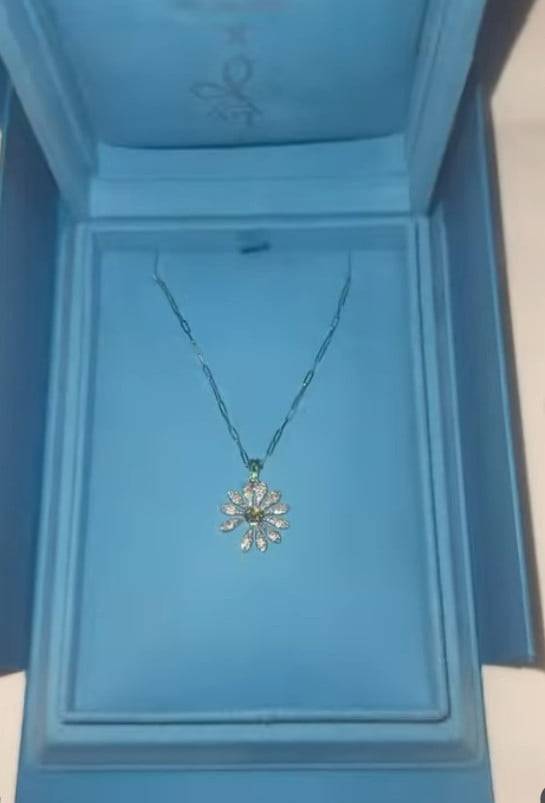 사진=추성훈 SNS