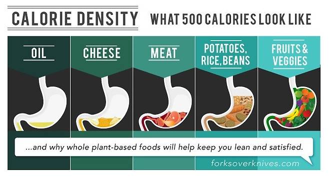 * 출처: Forks over Knives, Calorie density