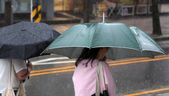 전북 전주시 효자로에서 우산을 쓴 시민들이 발걸음을 재촉하고 있다./뉴스1