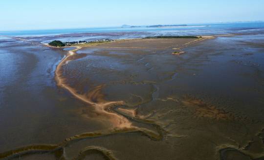 유네스코 세계자연유산에 등재된 서천갯벌의 모습(서천 유부도 주변) 서천군 제공