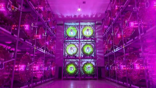 지난해 완공된 강동온실농장 내부 모습으로 원통형 재배장치와 조명 등이 설치돼 있다. 북한은 이 밖에 반구형 유리 수경온실 등 첨단 기술이 동원된 재배장치를 활용한다 밝히고 있다.