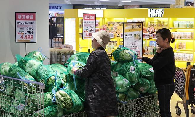 서울 이마트 용산점에서 시민들이 배추를 구매하고 있다./20241115 사진=한경 최혁 기자