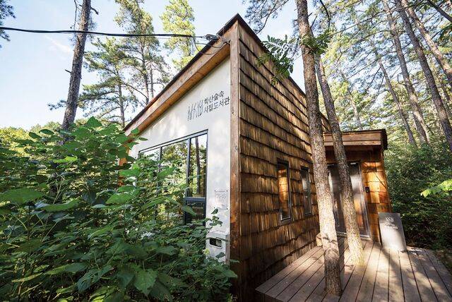 나무 사이에 자리 잡은 학산숲속시집도서관.