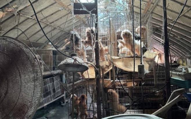 미용 실습용 추정 사육개 구조/사진=세종시 제공