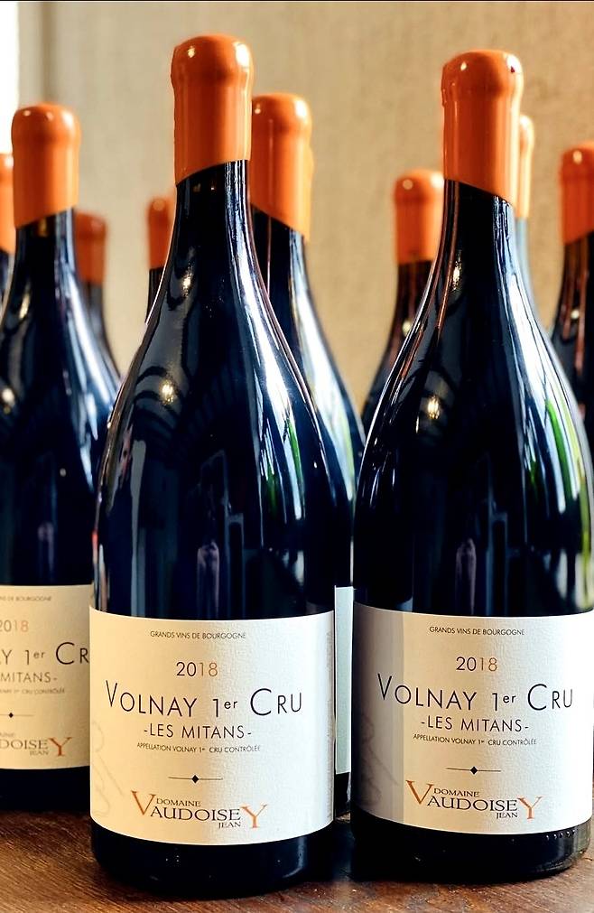 배리와인 수입 장 보두아제 볼네. 인스타그램