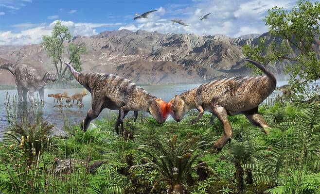 중생대 백악기 후기 북미와 아시아 지역에서 살았던 것으로 알려진 후두류 공룡 파키케팔로사우루스의 모습. 후두류 공룡이 지금까지 알려진 것보다 약 1400만 년 정도 전에 존재했던 것으로 밝혀졌다.  네이처 제공