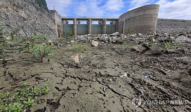 강릉의 갈 길 먼 해갈 (강릉=연합뉴스) 유형재 기자 = 최악의 가뭄으로 식수난을 겪는 강원 강릉지역에 지난 13일 황금과도 같은 단비가 내려 시민들의 목은 축였지만, 아직 해갈까지는 갈 길이 멀다.
    14일 강릉지역 87%의 생활용수를 공급하는 상수원 오봉저수지의 물 밖으로 드러난 맨땅이 쩍쩍 갈라진 상태를 하고 있다. 2025.9.14 yoo21@yna.co.kr