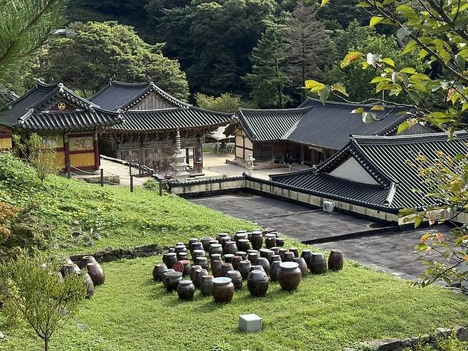 보광사 중심권역의 원경. 사진=김지영