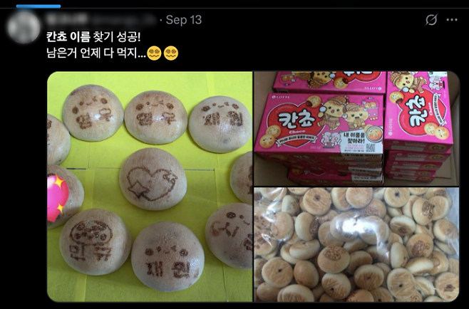 롯데웰푸드의 '내 이름을 찾아라' 이벤트가 챌린지 형태로 SN를 중심으로 확산하면서 '칸쵸'의 매출이 폭증하고 있다. 엑스