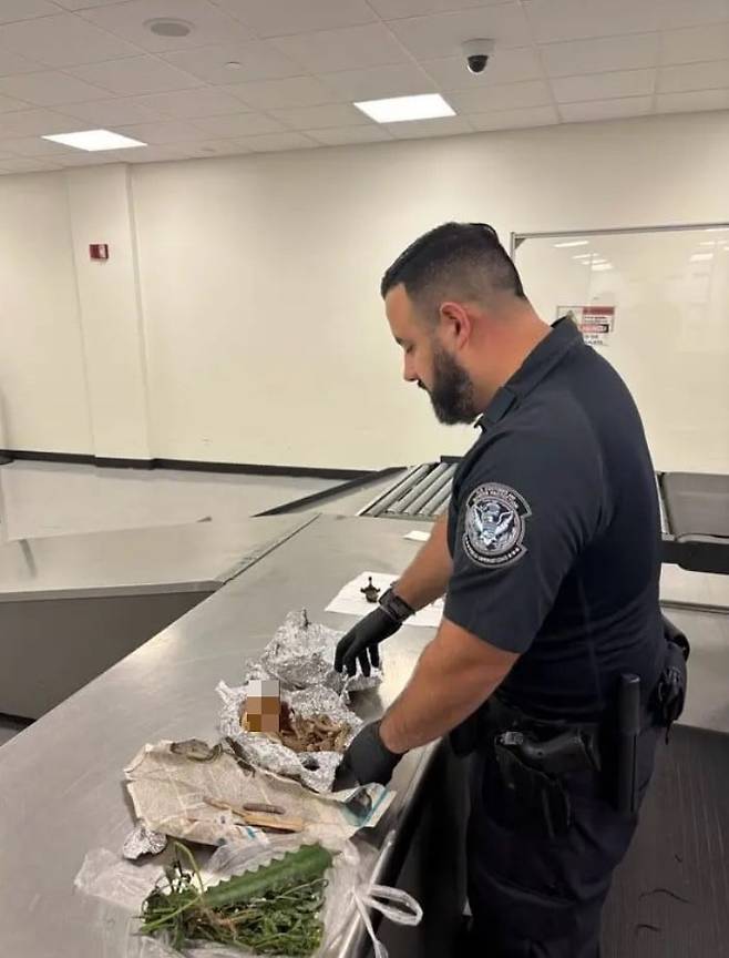 미국 플로리다주의 탬파 국제공항 세관국경보호국(CBP)이 적발한 사람의 것으로 추정되는 뼈와 금지 식물. /뉴욕포스트