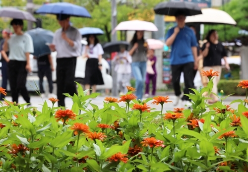 가을비 [연합뉴스]