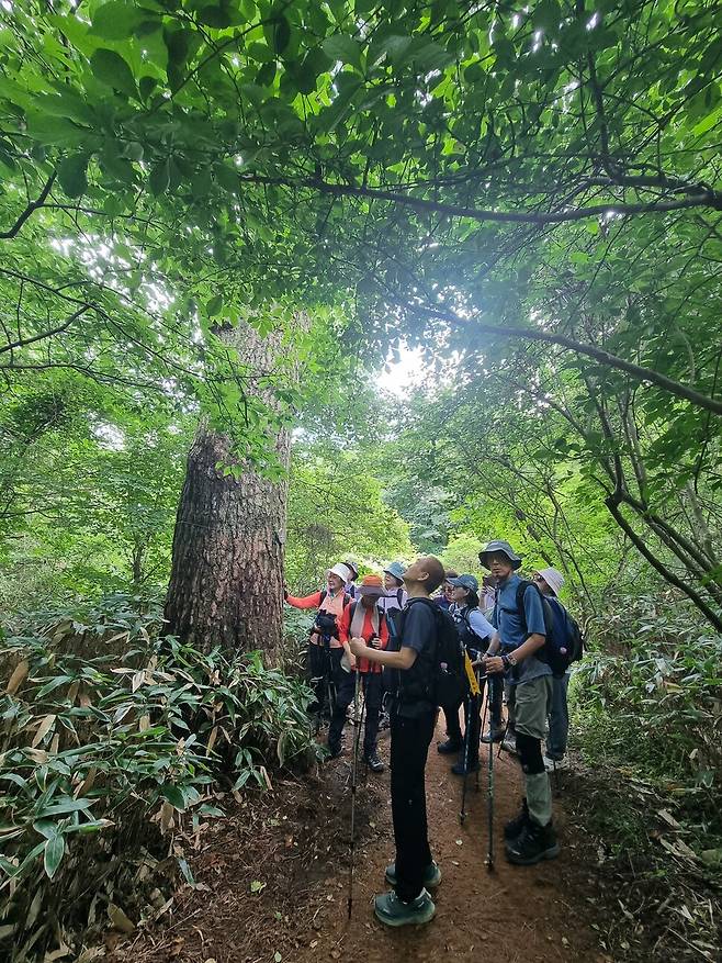 조태봉 대장과 산하클럽 회원들이 오랜 세월을 살아낸 나무를 바로보며 저마다 소원을 빌고 있다.