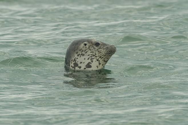 사람을 크게 경계하지 않는다.